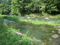 秩父フライフィールド 釣果