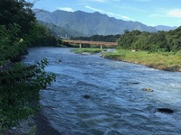 秩父フライフィールド 釣果
