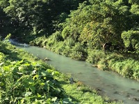 秩父フライフィールド 釣果