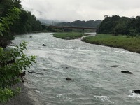 秩父フライフィールド 釣果