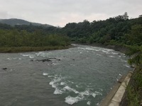 秩父フライフィールド 釣果