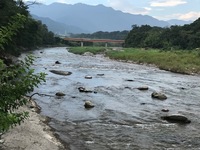 秩父フライフィールド 釣果