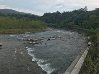 秩父フライフィールド 釣果