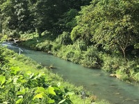 秩父フライフィールド 釣果