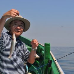 根岸丸 釣果