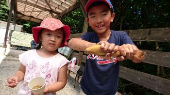 フィッシング サンクチュアリ 釣果