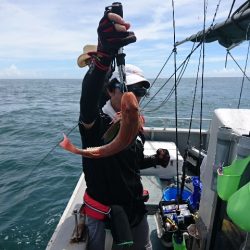 第二明康丸 釣果