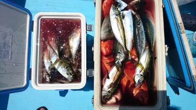はじめ丸 釣果