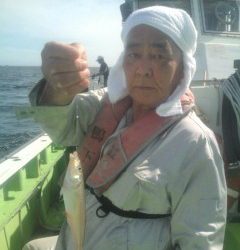 金沢八景鴨下丸 釣果