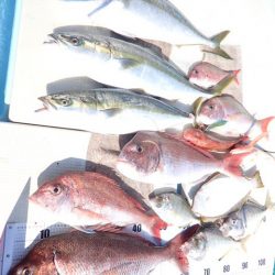 水天丸 釣果