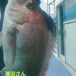 富士丸 釣果