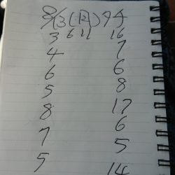 金沢八景鴨下丸 釣果