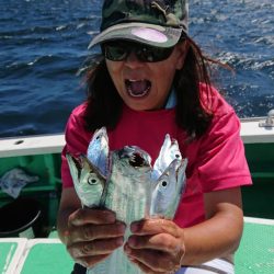 金沢八景鴨下丸 釣果