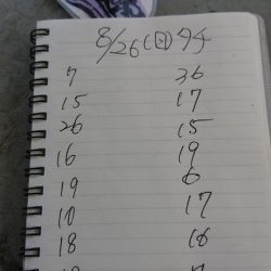 金沢八景鴨下丸 釣果