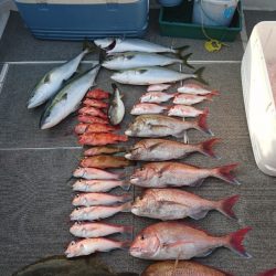 ARCADIAⅡ (アルカディアⅡ) 釣果