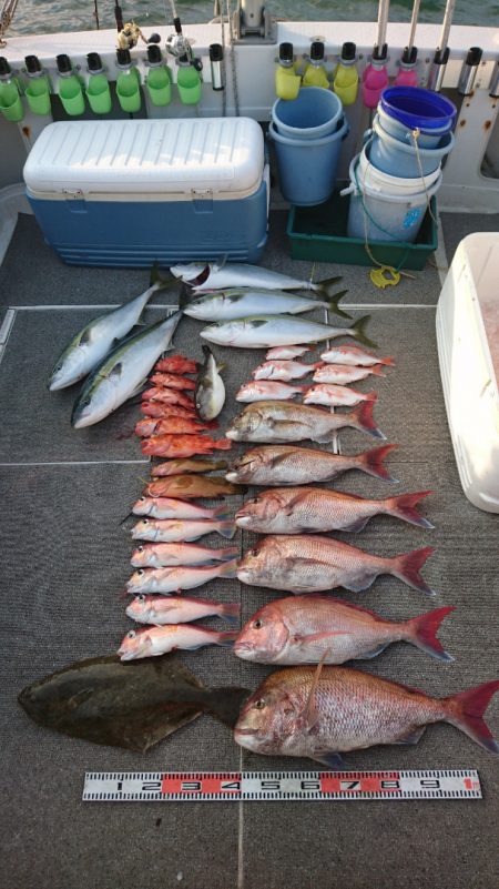 ARCADIAⅡ (アルカディアⅡ) 釣果