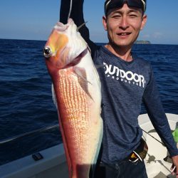 ARCADIAⅡ (アルカディアⅡ) 釣果