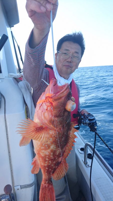 ARCADIAⅡ (アルカディアⅡ) 釣果