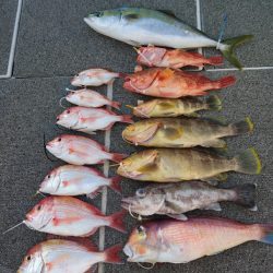 ARCADIAⅡ (アルカディアⅡ) 釣果