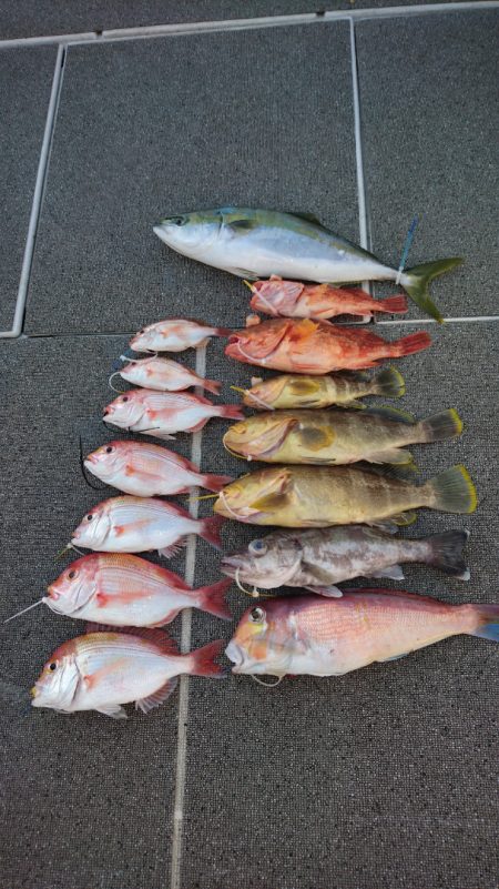 ARCADIAⅡ (アルカディアⅡ) 釣果