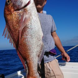 だて丸 釣果
