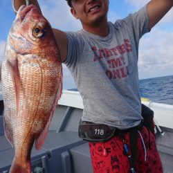 だて丸 釣果