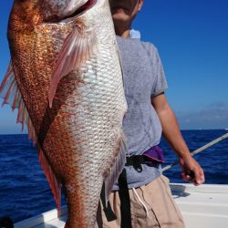 だて丸 釣果