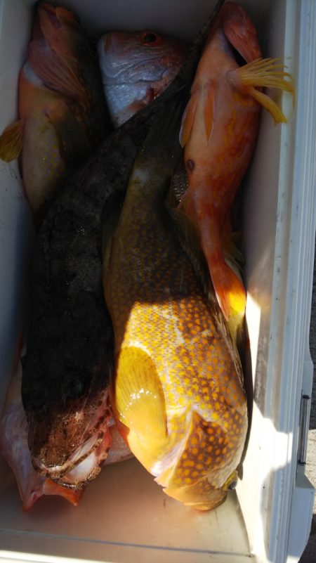 第二龍勢丸 釣果