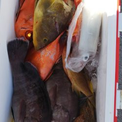 第二龍勢丸 釣果