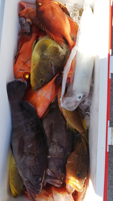 第二龍勢丸 釣果