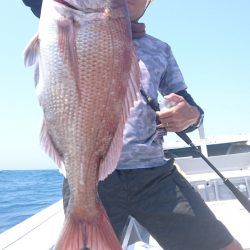 だて丸 釣果