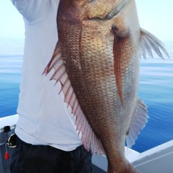 第二龍勢丸 釣果