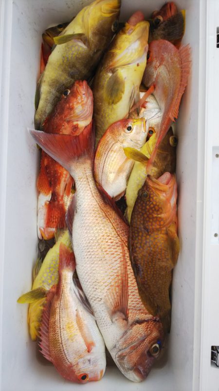 第二龍勢丸 釣果