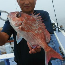 新幸丸 釣果