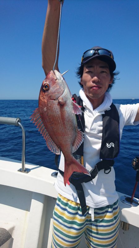 ARCADIAⅡ (アルカディアⅡ) 釣果