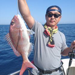 ARCADIAⅡ (アルカディアⅡ) 釣果