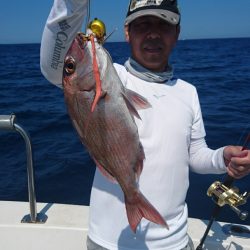 ARCADIAⅡ (アルカディアⅡ) 釣果