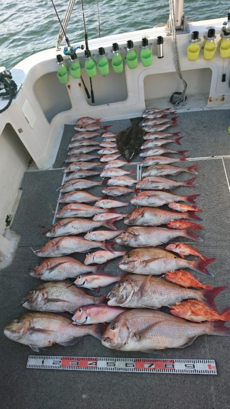 ARCADIAⅡ (アルカディアⅡ) 釣果