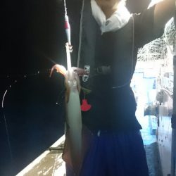 海龍丸（石川） 釣果