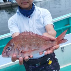 富士丸 釣果