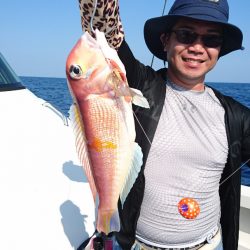 ARCADIAⅡ （アルカディアⅡ） 釣果