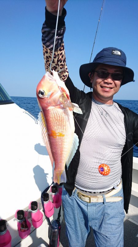 ARCADIAⅡ （アルカディアⅡ） 釣果