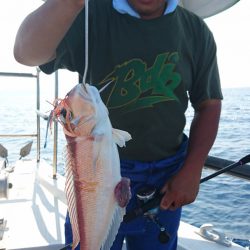 ARCADIAⅡ （アルカディアⅡ） 釣果