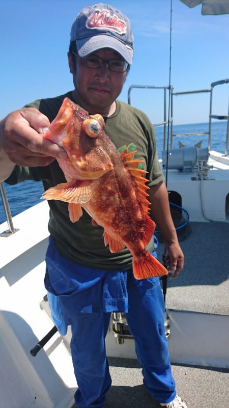 ARCADIAⅡ （アルカディアⅡ） 釣果