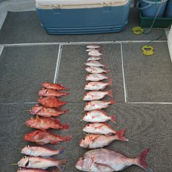 ARCADIAⅡ （アルカディアⅡ） 釣果