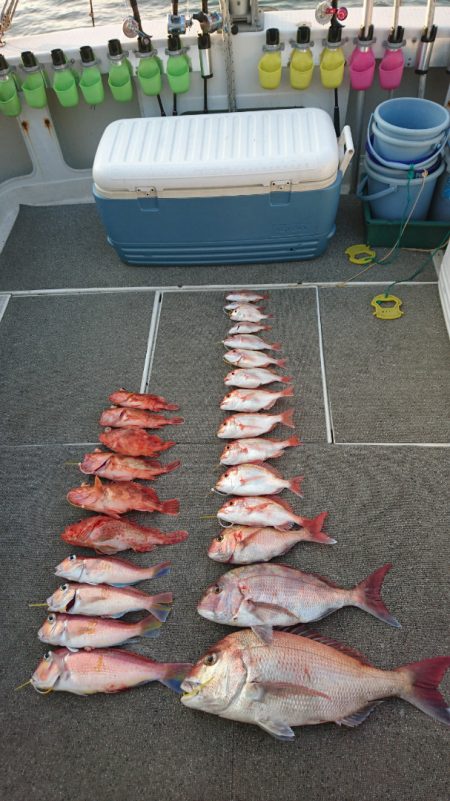 ARCADIAⅡ （アルカディアⅡ） 釣果…