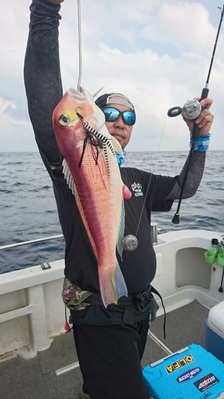 ARCADIAⅡ (アルカディアⅡ) 釣果