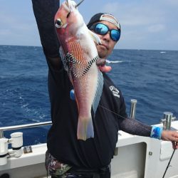 ARCADIAⅡ (アルカディアⅡ) 釣果