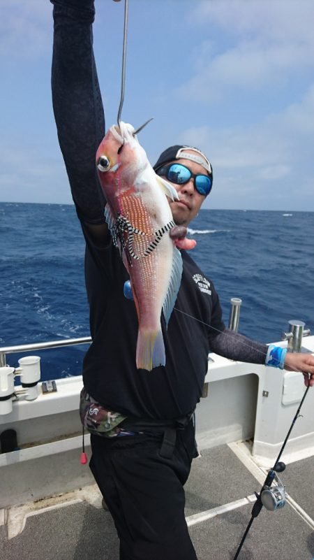 ARCADIAⅡ (アルカディアⅡ) 釣果