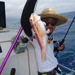 ARCADIAⅡ (アルカディアⅡ) 釣果